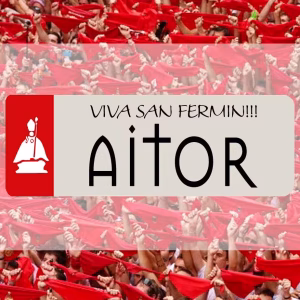 Matrículas personalizadas San fermín